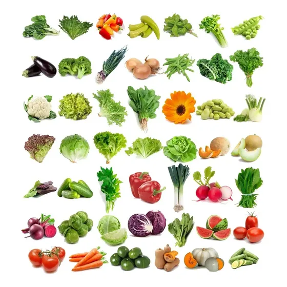 Combo Huerta 48 Sobres De Semillas Para Plantar Todo El Año