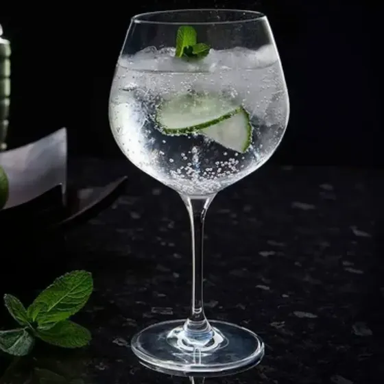 Copa De Cristal Para Gin Tonic Burgundy 680 Ml | Edelita Transparente