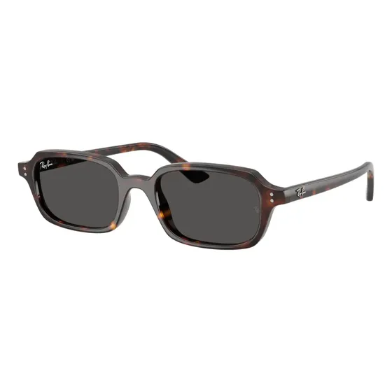 Gafas De Sol Ray-ban Zuri Rb445513598749 Color Carey