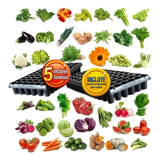 Kit De Huerta Anual Con Semillas 48 Variedades + Bandejas