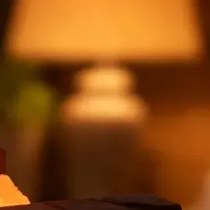 Lampara De Sal Del Himalaya Para Sanar Cualquier Ambiente Madera Naranja