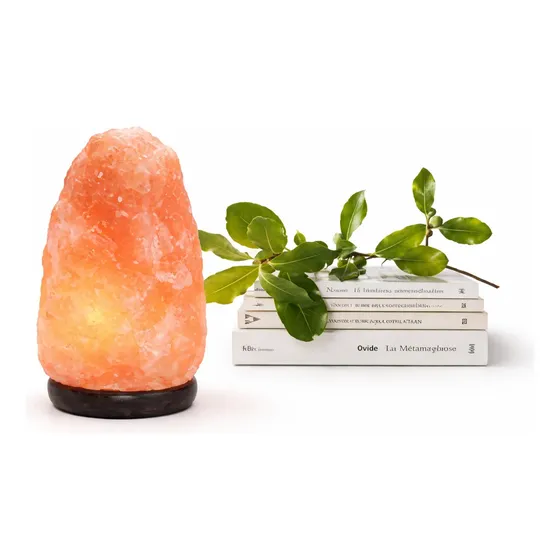 Lampara De Sal Himalaya 5 A 7kg Luz Calida Base De Madera