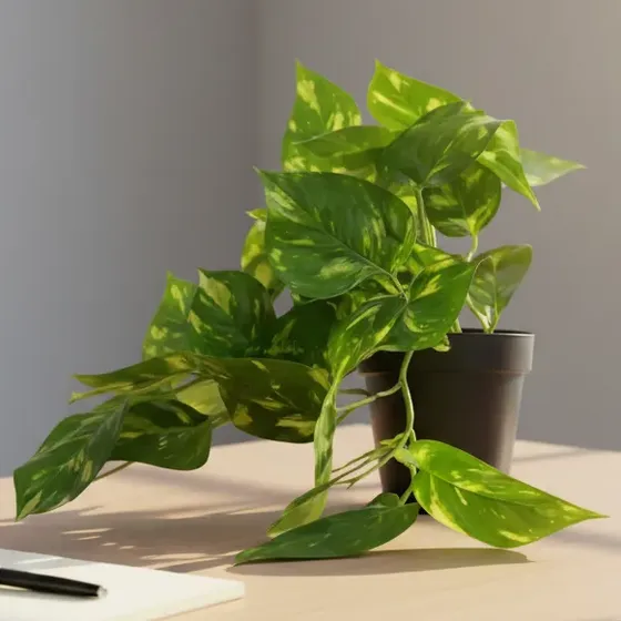 Planta Artificial Decoración Interior Potus Maceta Plastica