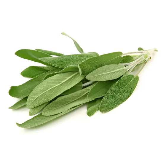 Semillas Salvia Aromáticas Ecoproductos Para Jardinería Huerto Urbano