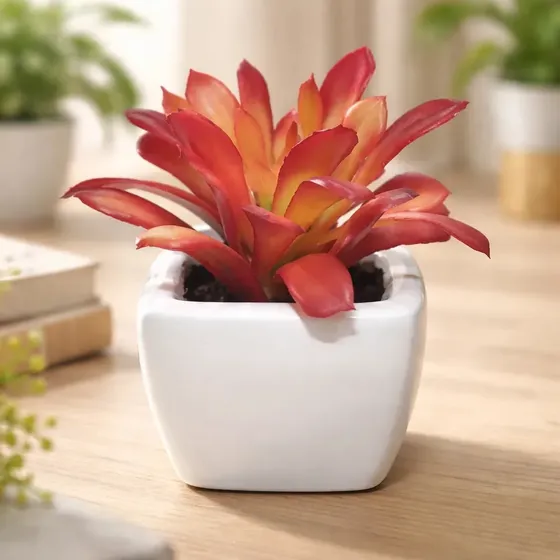 Suculenta Planta Artificial Maceta Ceramica - Sheshu Home Color Mod10