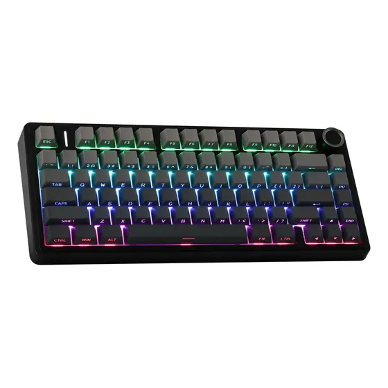 Teclado Mecánico Inalámbrico Aula F75 75% Impresion Lateral Teclado Gris Oscuro Idioma Inglés Us